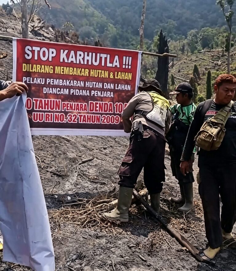 IMG-20260917-WA0024