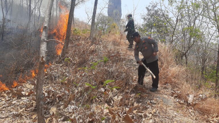 IMG-20260928-WA0024